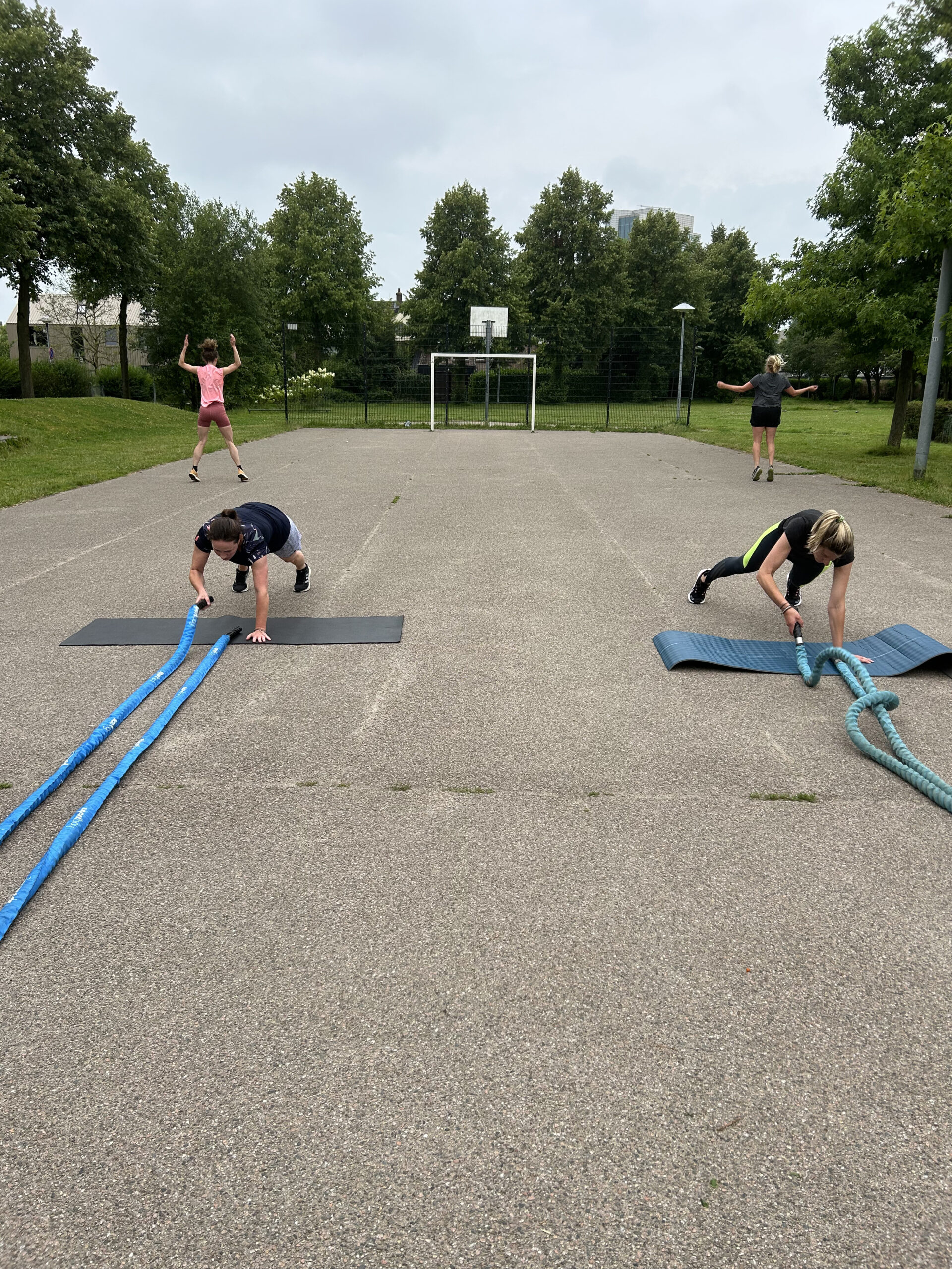 Hamersplantsoen Hiit Hamersplantsoen Hiit