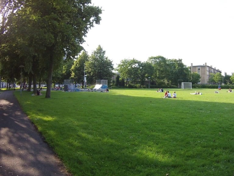 Tolsteegplantsoen​ Volledige lichaamstraining